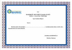 Certificate / Diploma